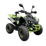 ATV NEW 125cc Renegade LEMON J8'' cutie 3 +Revers Semi-Auto 1 - motocross, enduro, ATV atv new 125cc renegade lemon j8 cutie 3 revers semi auto 1