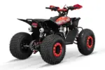 ATV 125cc 2WD Quad Replay RS-8 Sport jante 8'' semi-automatic 2 - motocross, enduro, ATV bemi atv 125cc 2wd quad replay rs 8 sport jante 8 semi automatic7982007 - motocross, enduro, ATV