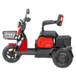 Tricicleta electrica Voltarom APM2