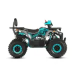 Barton Raptor 125 3 copy - motocross, enduro, ATV