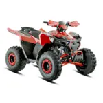 ATV Barton Terrax 125cc 1 - motocross, enduro, ATV Barton Terrax 125 1 webp - motocross, enduro, ATV