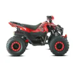 ATV Barton Terrax 125cc 6 - motocross, enduro, ATV Barton Terrax 125 6 webp copy - motocross, enduro, ATV