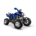 Barton Warrior 250 1 - motocross, enduro, ATV