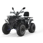 ATV BEMI RAPTOR NERO 200CVTRONIC RS10