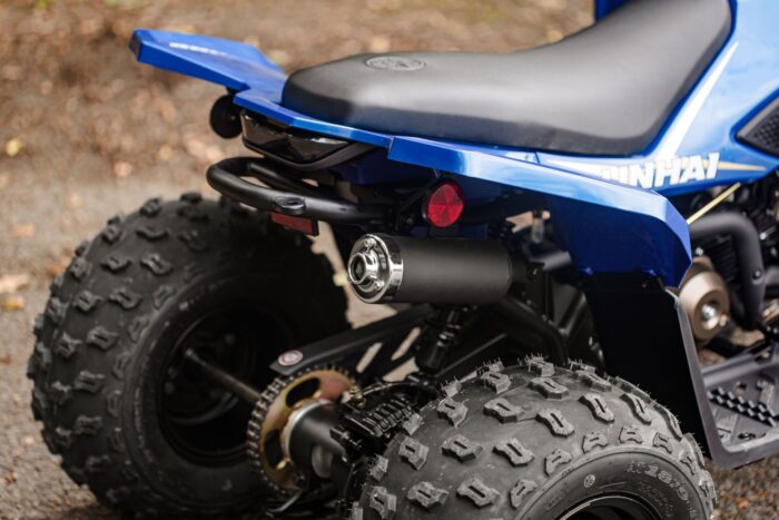 ATV LINHAI 110 - imagine 7