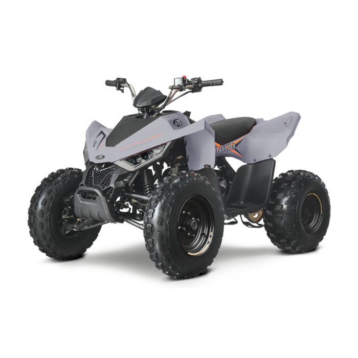 ATV LINHAI 110 - imagine 2