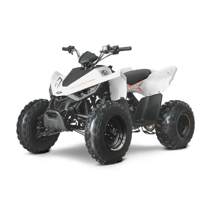 ATV LINHAI 110 - imagine 4