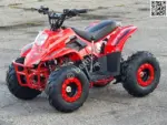 ATV BEMI 125cc Panzer 4T automatic DNR 7" LED - imagine 2