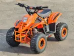 ATV BEMI 125cc Panzer 4T automatic DNR 7" LED - imagine 3
