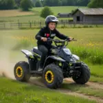 ATV BEMI 125cc Panzer 4T automatic DNR 7" LED - imagine 10