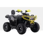 ATV pentru copii Barton Dirtman 125cc - imagine 6
